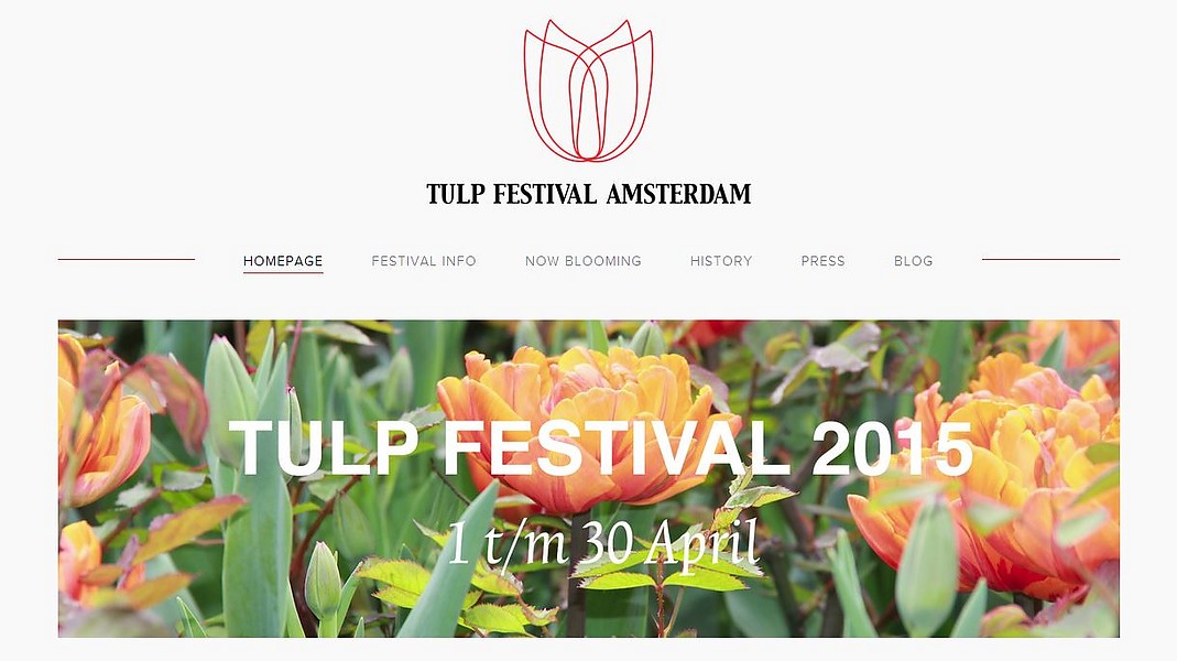 Tulips in Amsterdam, tulips from The Hague | Proportio Divina Kunsthandel